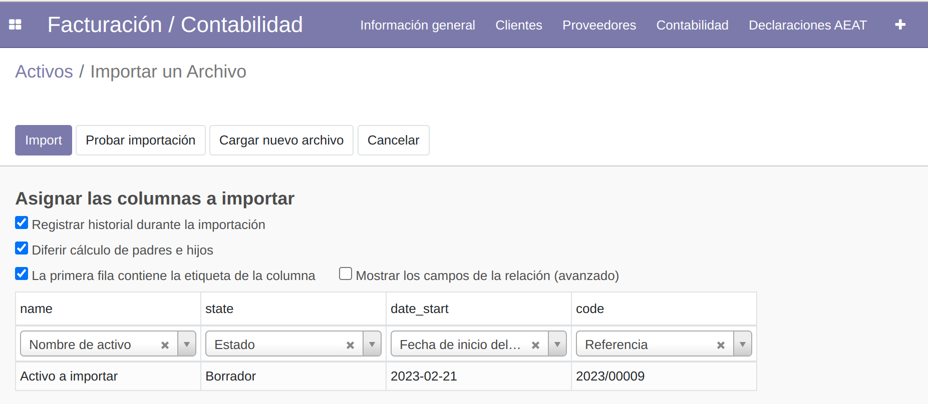 import-activos.png